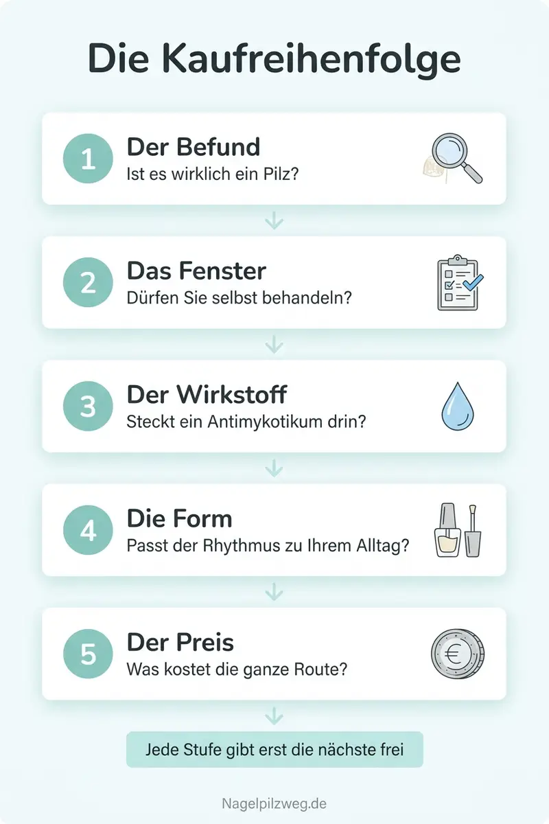 Infografik: Die Kaufreihenfolge in fünf Schritten