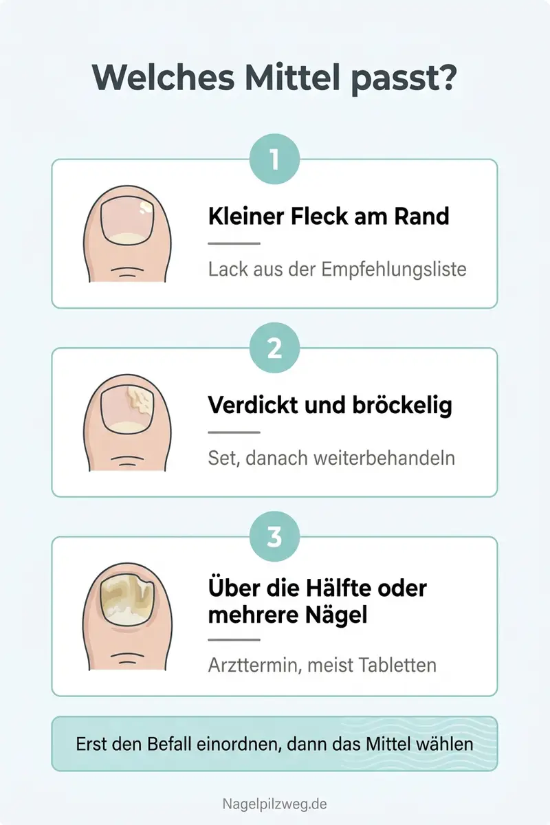 Infografik: Welches Mittel zu welchem Befall passt